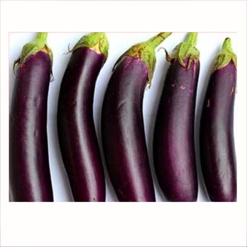 

Terong Ungu 500gr | Pasar Induk Pekanbaru #Harga_Grosir