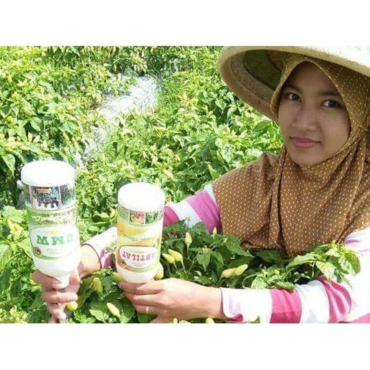 ANTILAT Pestisida Nabati Organik Obat Hama Semua Tanaman Pembasmi APHID Paling Ampuh