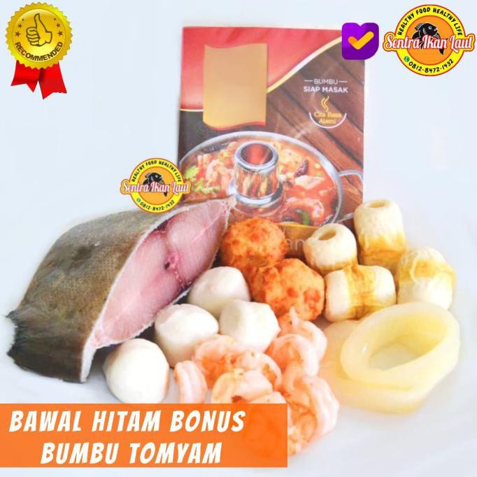 

BISA COD LAUK SIAP MASAK PAKET TOMYAM IKAN LAUT BAWAL HITAM GRATIS BUMBU 800 GR CUCI GUDANG Kode 33