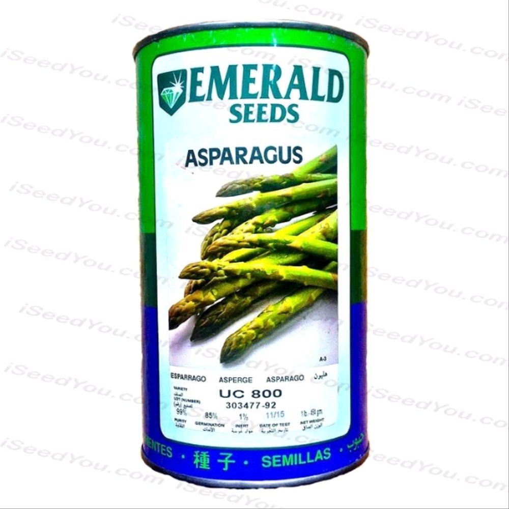 NEW 10 Biji Biji F1 Asparagus varietas UC800 | SULTANFARMER379