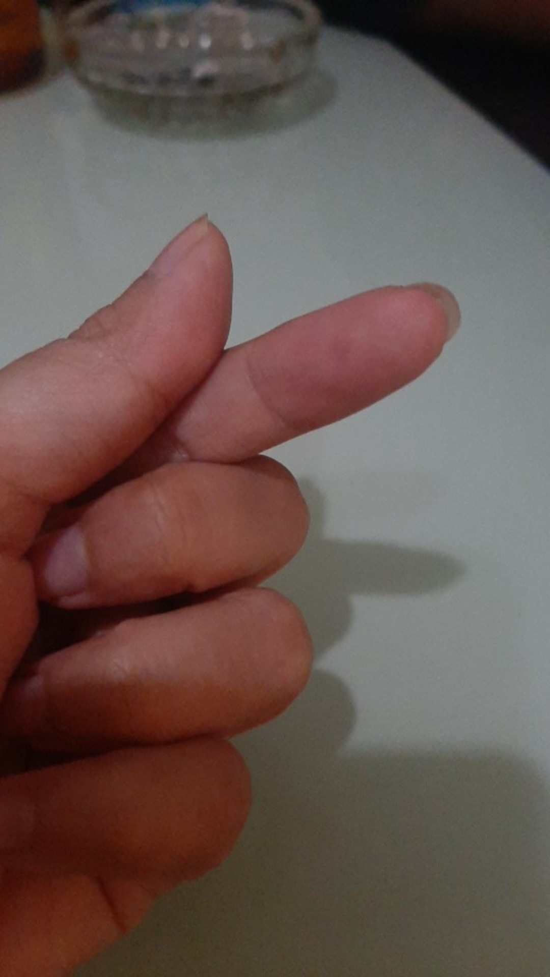 Alumunium Foil Pesawat - Putih & Silver - Dengan Tutup & Tanpa Tutup