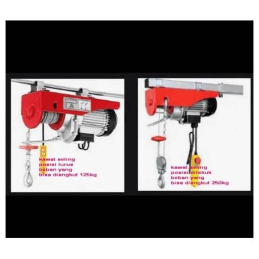 Elektrik Hoist Electric Hoist Katrol Listrik Willfred 125/250Kg