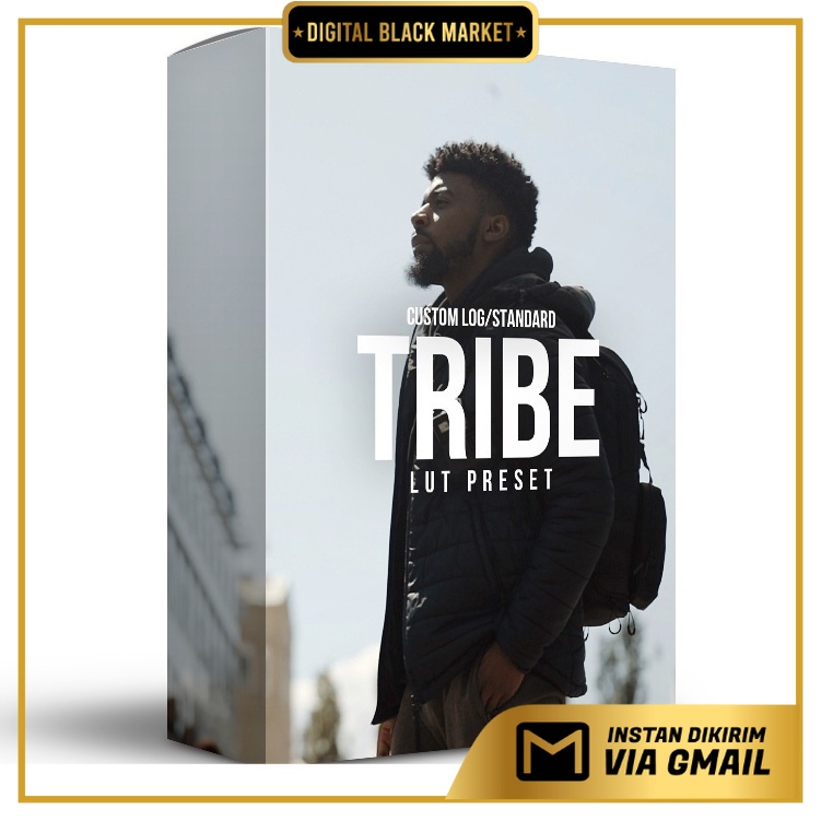 Sellfy - Ycimaging - Tribe Lut