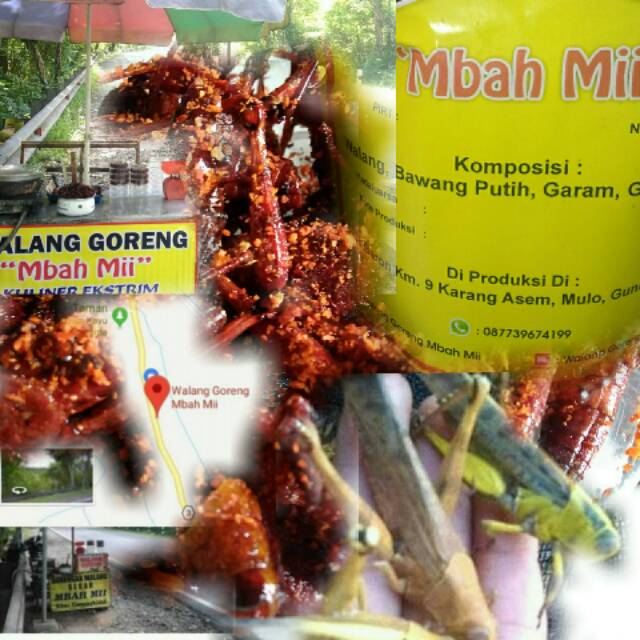 

WALANG goreng mbah mii