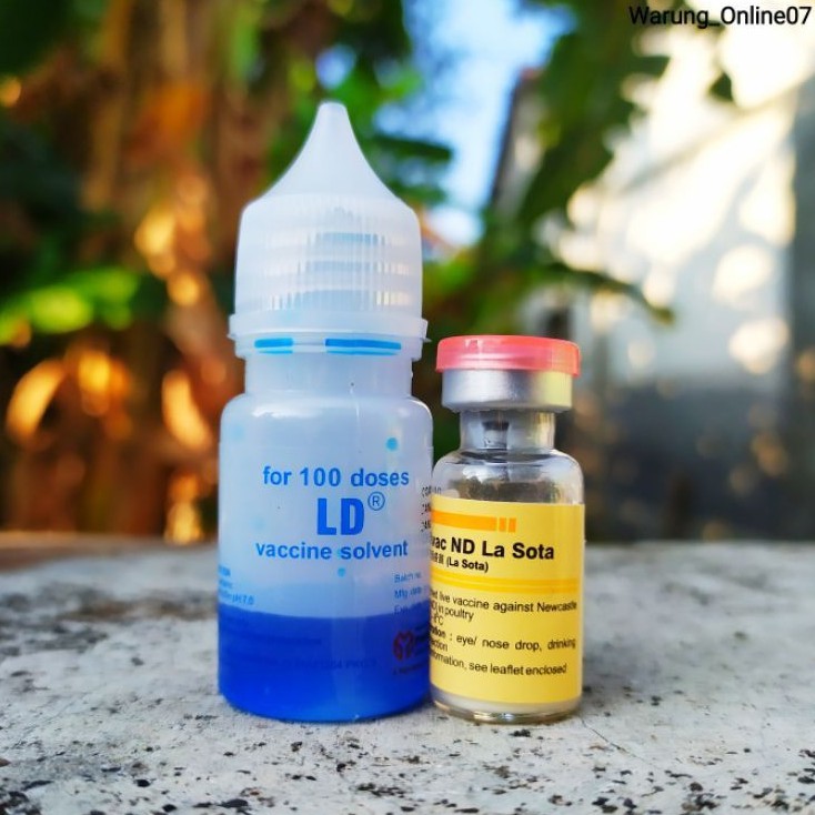 Vaksin ND Lasota