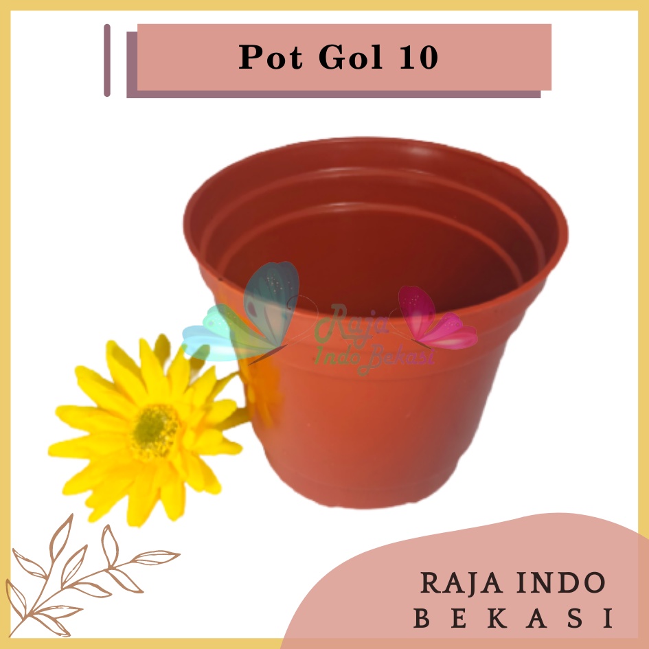 Pot 10 Coklat Merah Bata Murah - Pot Bulat Kecil Bisa Untuk Vas Bunga - Pot Tanaman 10CM Benih Kecil