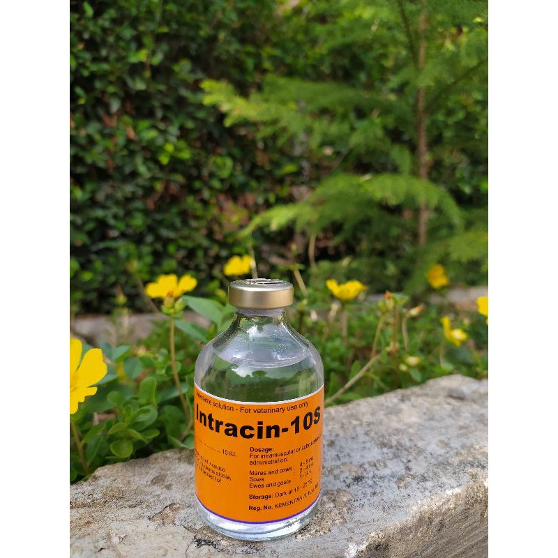 intracin/ oxytocin  50 ml