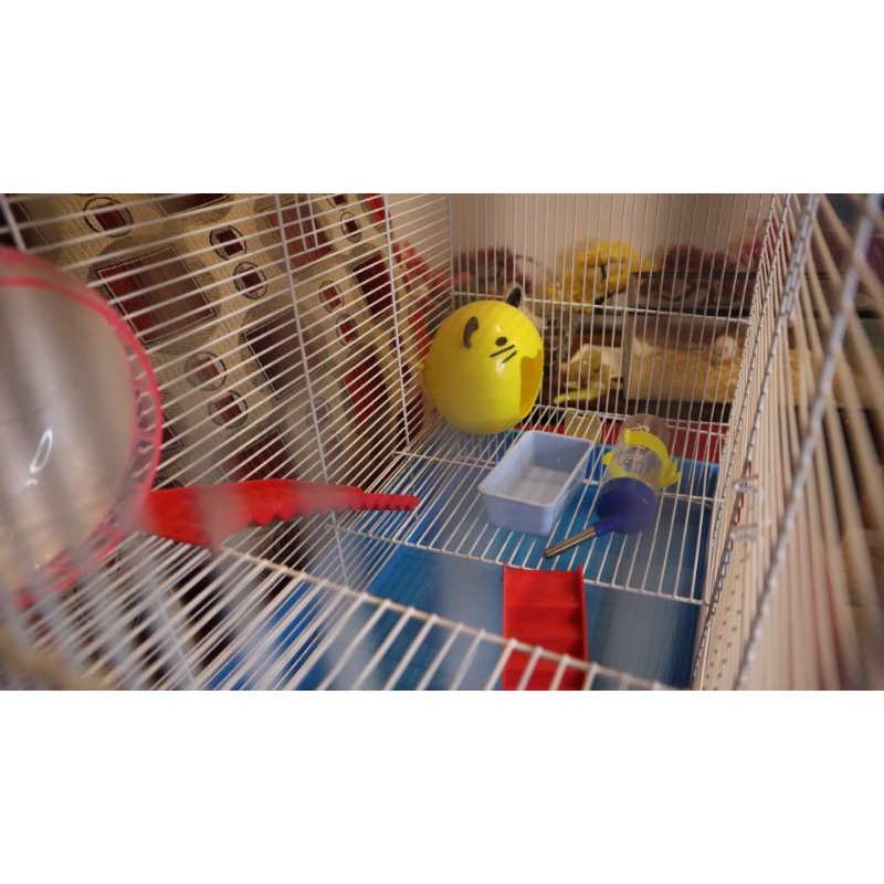 Kandang Hamster Jumbo Ukuran: 54 x 30 x 40 cm