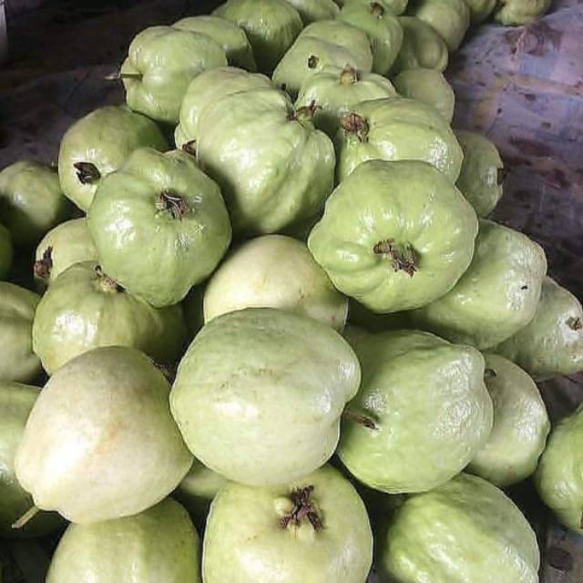 

Jambu kristal segar 1kg