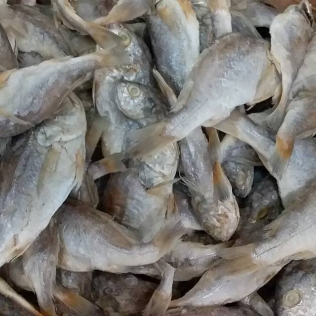 

Ikan Asin Kepala Batu asli Medan