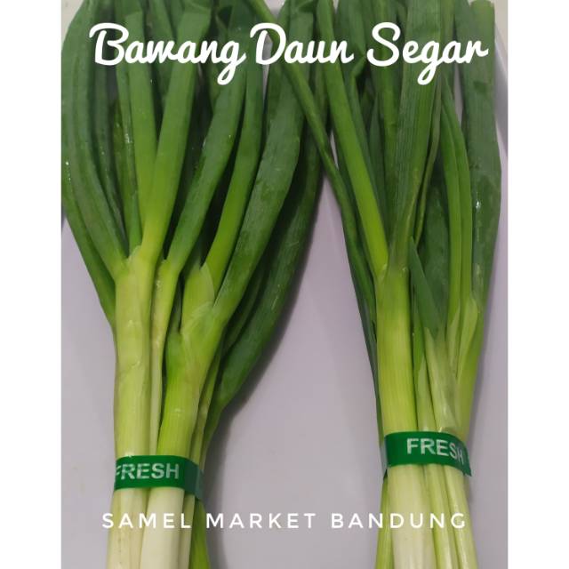 

Bawang Daun Segar 250 gr