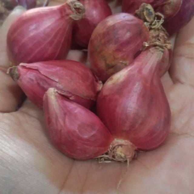 

Bawang merah