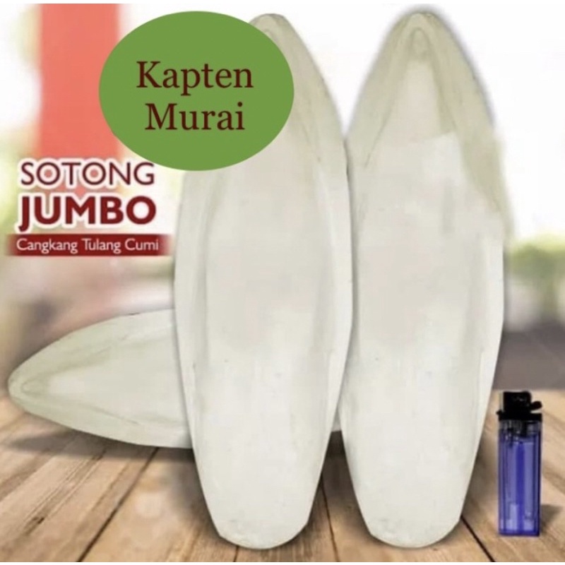 TULANG SOTONG JUMBO UNTUK ASINAN REPTILE BURUNG