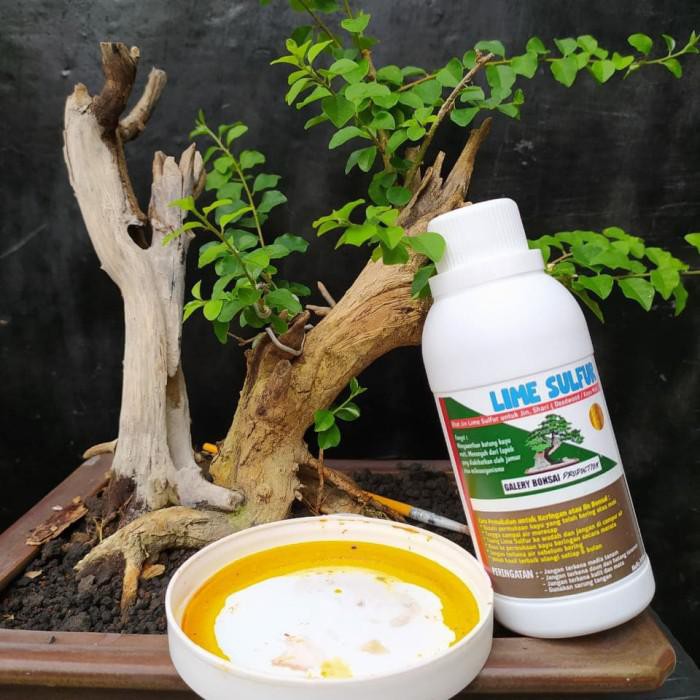 Lime Sulfur Bonsai 300ml