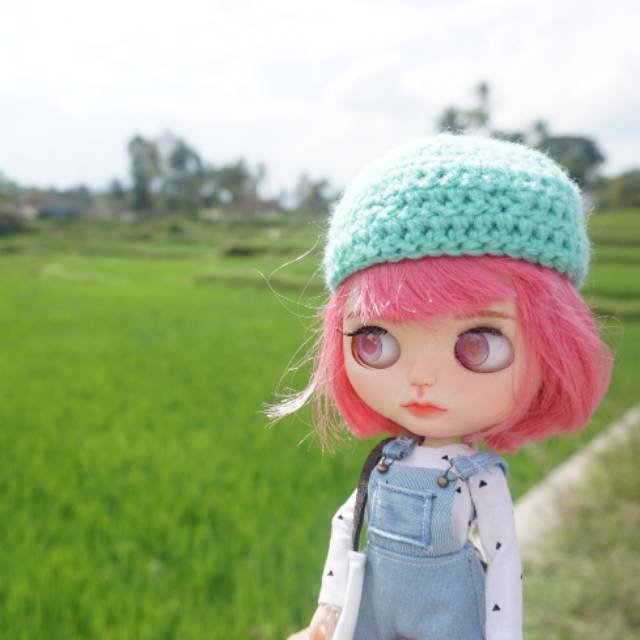 Custom blythe doll/ icy doll