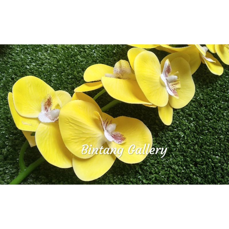 ANGGREK LATEX 11 KUNTUM DIAMETER 7 &amp; 8 CM