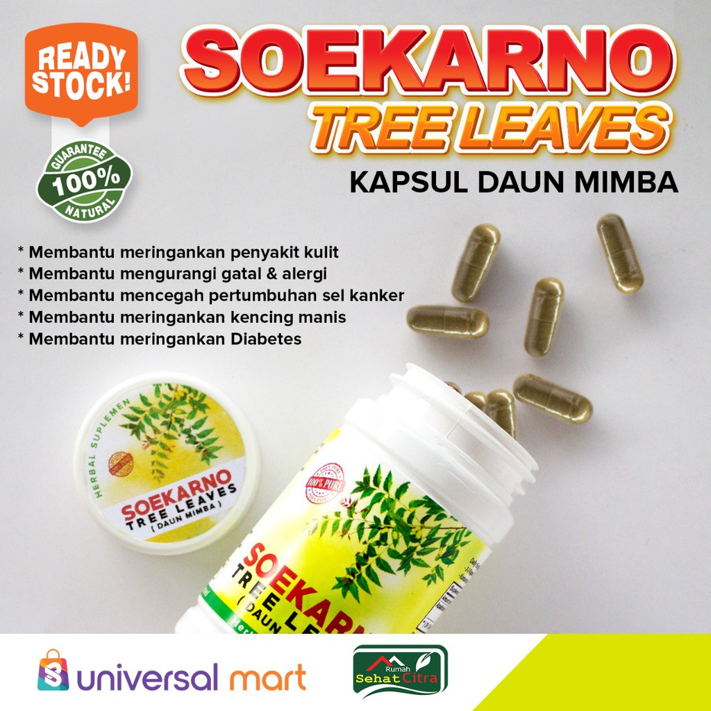 

KAPSUL HERBAL DAUN MIMBA SOEKARNO TREE LEAVES/ Herbal Suplemen