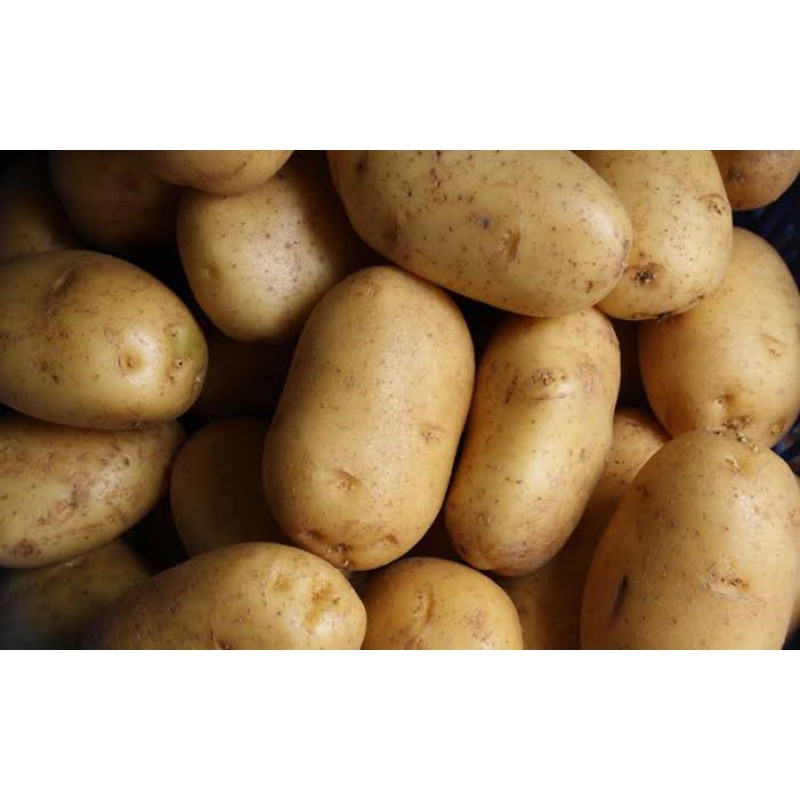 

Kentang / KENTANG / POTATO