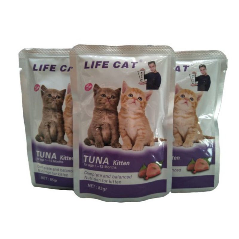 Life Cat tuna kitten