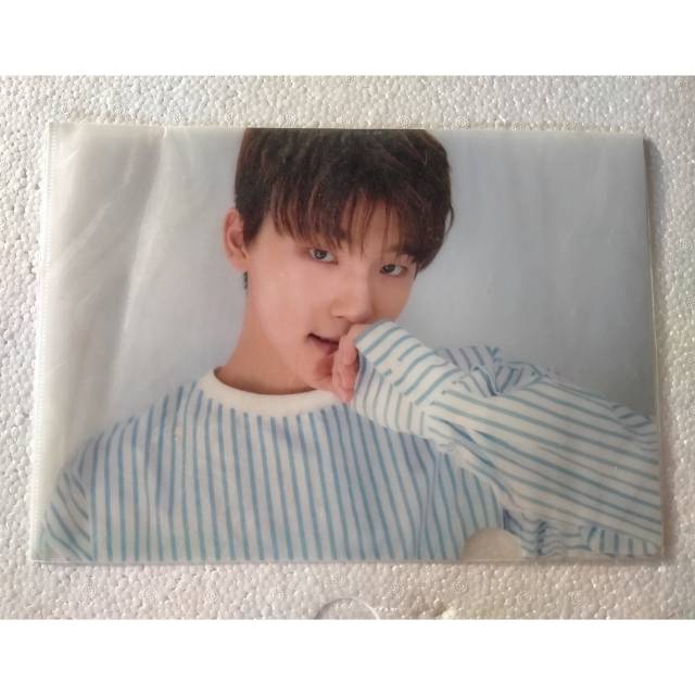 Official Clear File/L-Holder Seventeen - Dino (from 2nd carat kit)