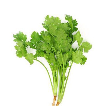 

Daun Seledri 100 gr - 500 gr