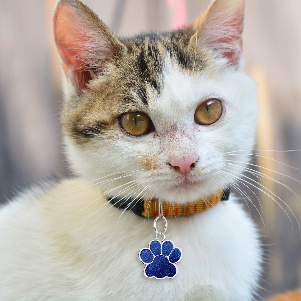 Liontin Tag Nama Bentuk Cakar Glitter Untuk Aksesoris Kalung Anjing Kucing Peliharaan