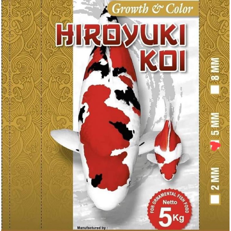 Hiroyuki GROWTH and COLOR