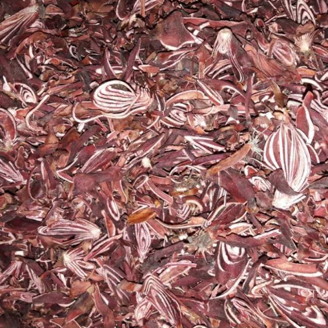

Bawang dayak kering 1000gram