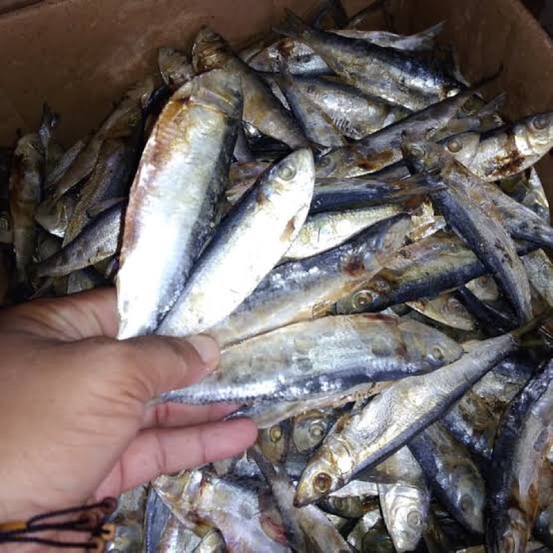 

ikan asin campa