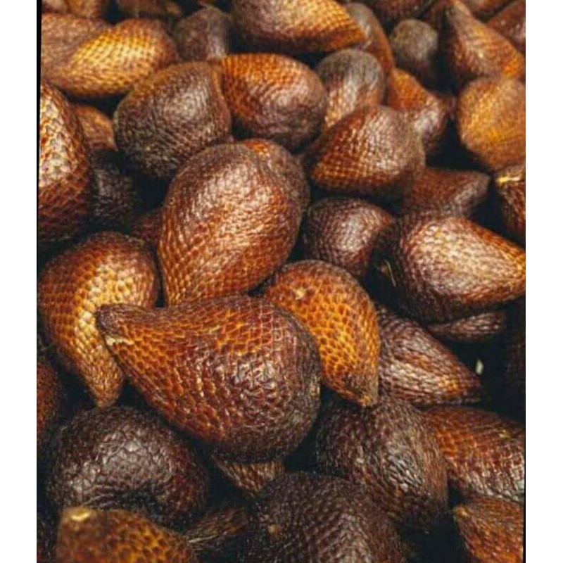 

BUAH SALAK LOKAL MANIS DAN SEGAR 1 KG