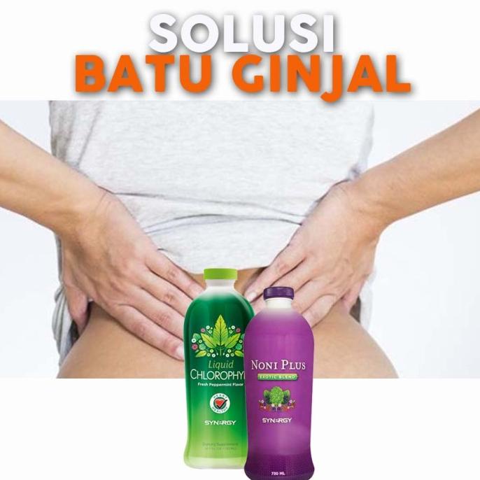 READY STOCK PAKET SEMBUHKAN Obat Herbal Ginjal (NoniPlus Chlorophyll Synergy) Asli