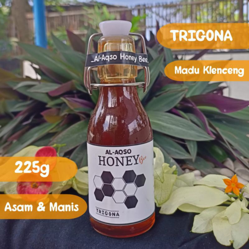 

Al-Aqso Honey Bee Madu Hutan Murni Trigona/ Klenceng 225 g ( Botol Kaca)