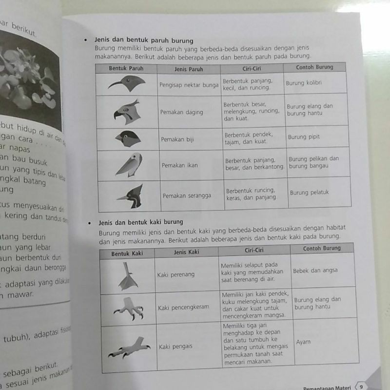 Buku Erlangga X-Press US SD/MI IPA Ilmu Pengetahuan Alam 2021-5