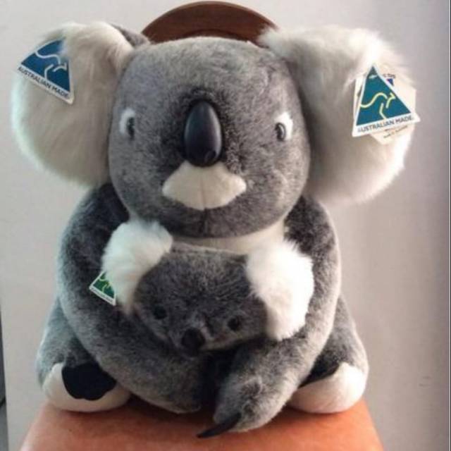 BONEKA KOALA ASLI AUSTRALIA