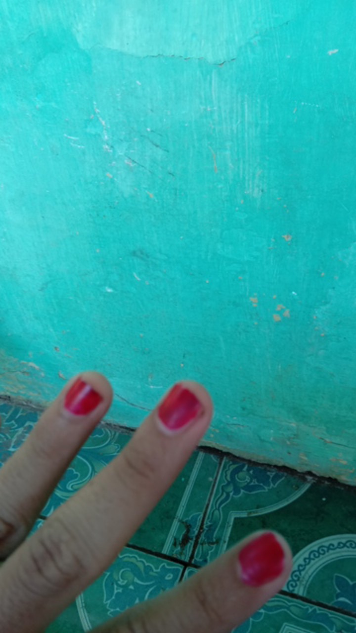 Pisau Dapur Pemotong Buah Sayur Tajam