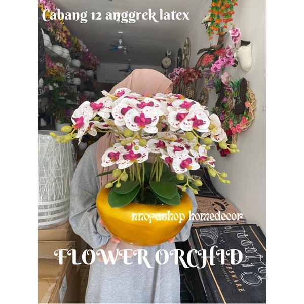 ANGGREK VAS GOLD VAIBER CABANG 12 LATEX/BUNGA ANGGREK