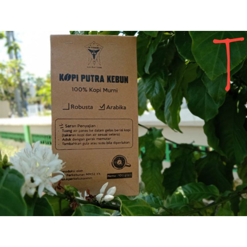 

Kopi Arabika Original 100%