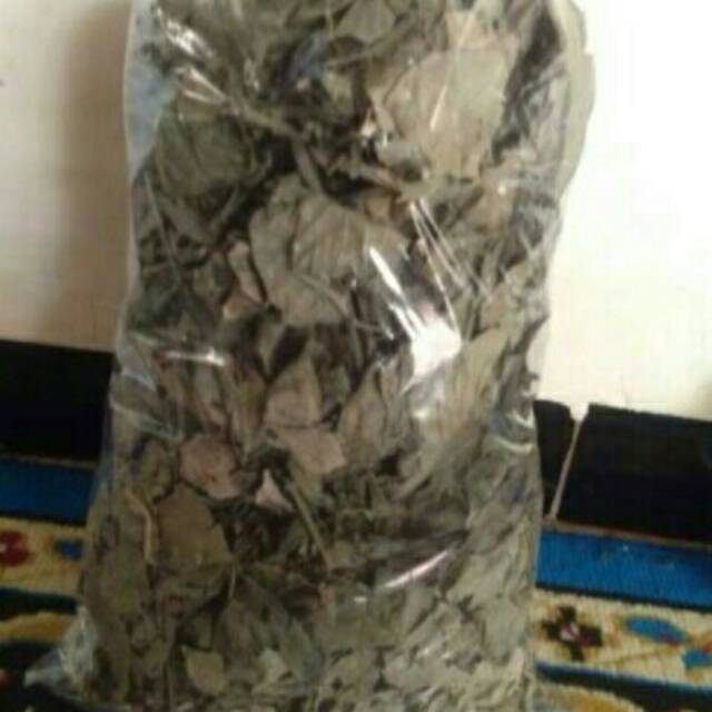 

Daun Keji Beling Kering 1kg