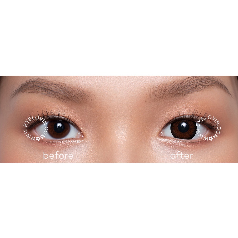 EYELOVIN Softlens Mite Clair - Royal Almond Brown