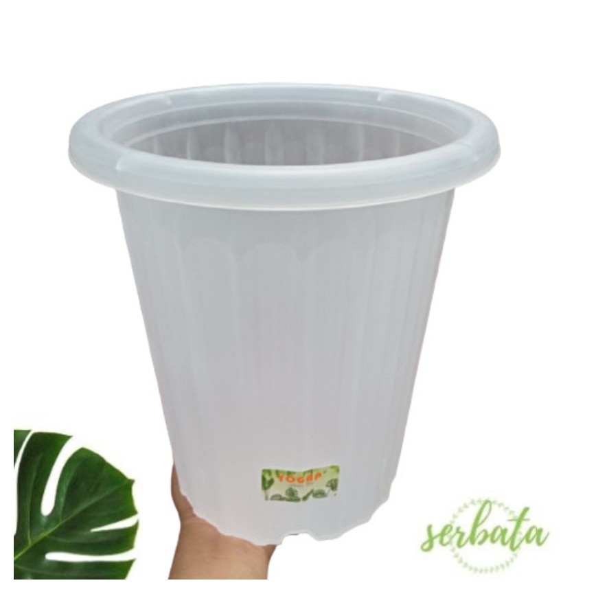 Pot Bunga Yogap 19 Transparan/Bening / Pot Tanaman Plastik