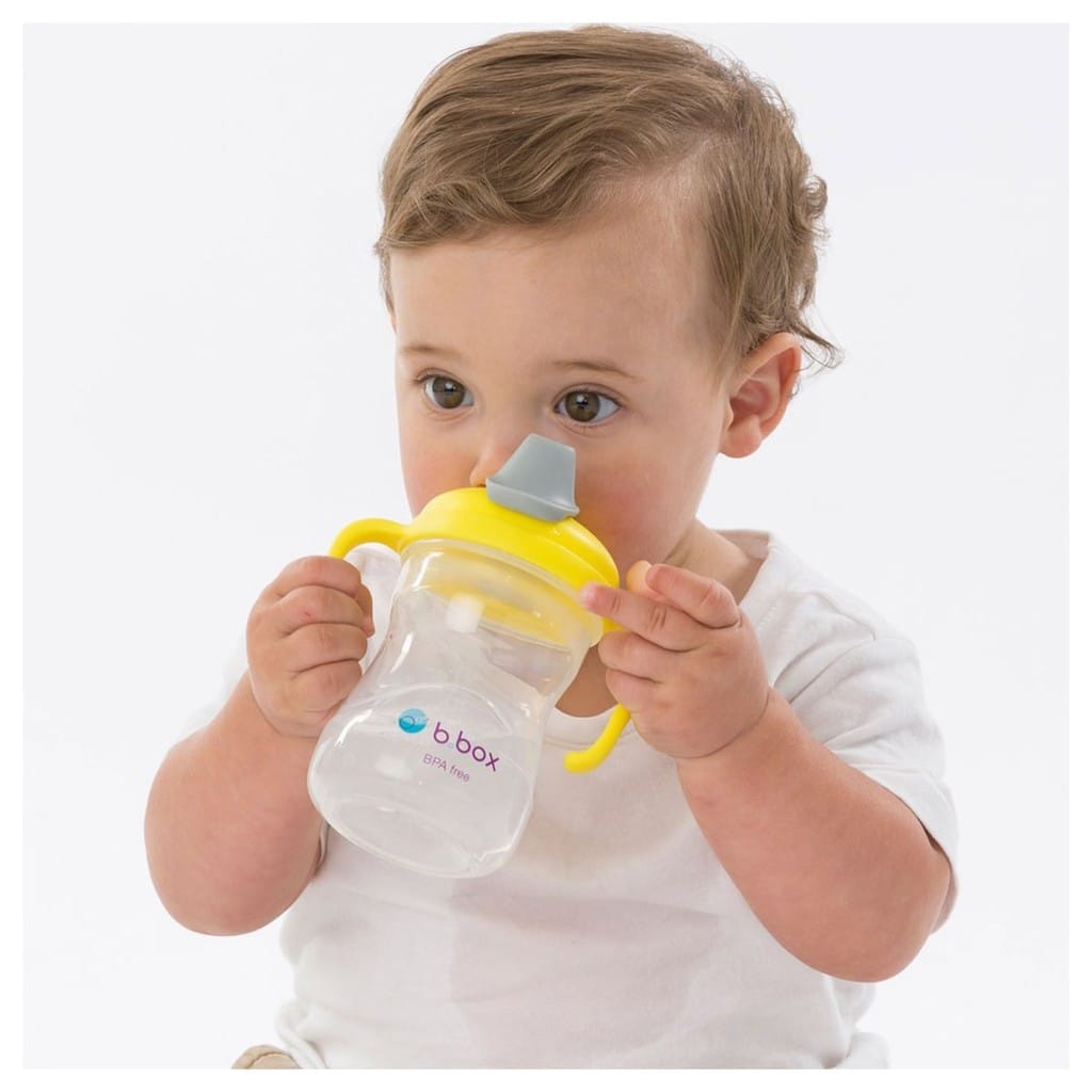 B Box Spout Cup / Botol Minum Anak