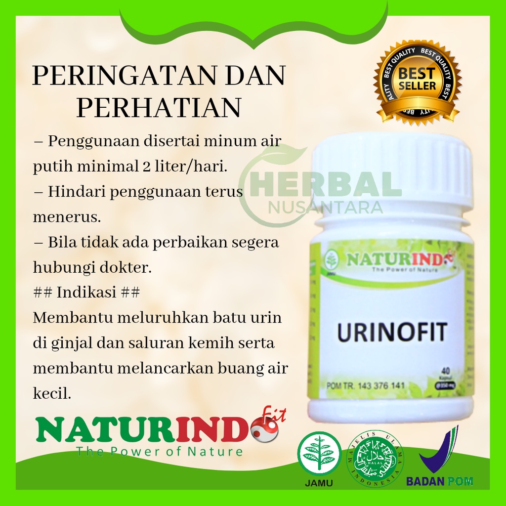 Image of Obat Kencing Batu Ginjal Yang Ampuh Tanpa Operasi Dan pinggang Sakit Herbal Bpom #5