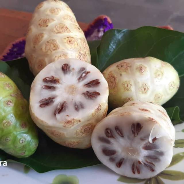 

Buah Mengkudu/Pace segar (organik)