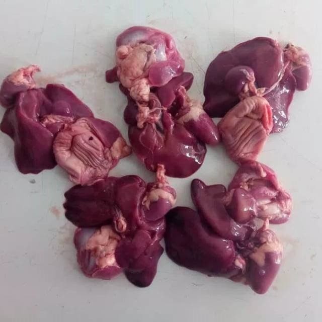 

Lauk Makan Mentah Hati Empela Ayam sepasang