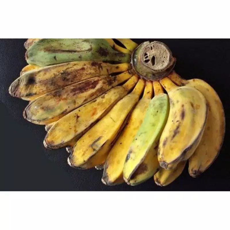 

pisang kepok 1 sisir sudah masak