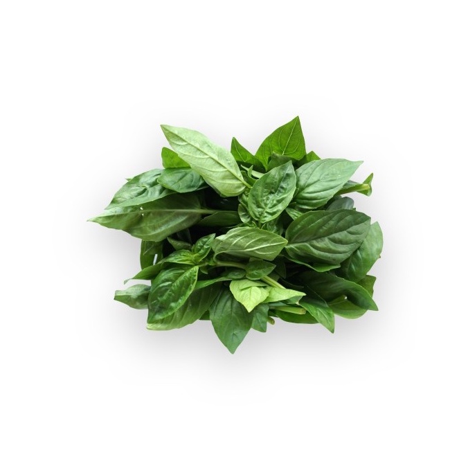 Daun Basil Organik 100gr