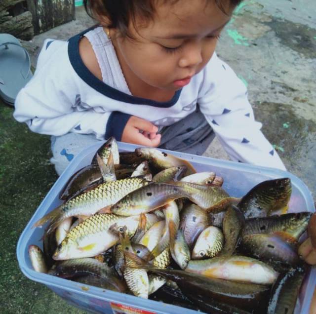 Jebakan Ikan Perangkap ikan Bubu ikan Model Payung Ikan Udang Lobster 4 12 16 20 Lubang Jaring Lipat