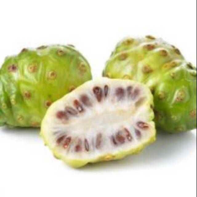 

Mengkudu segar obat herbal 1kg