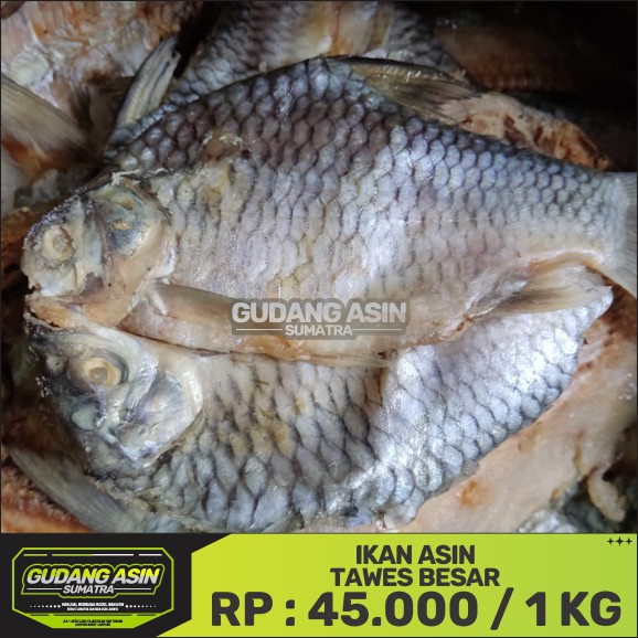 

IKAN ASIN TAWES BESAR/1KG