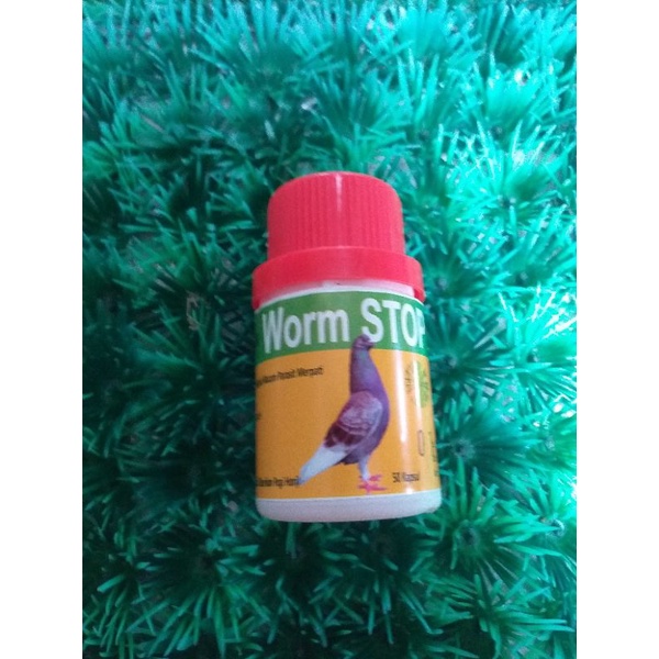 WORM STOP BARON OBAT CACING MERPATI